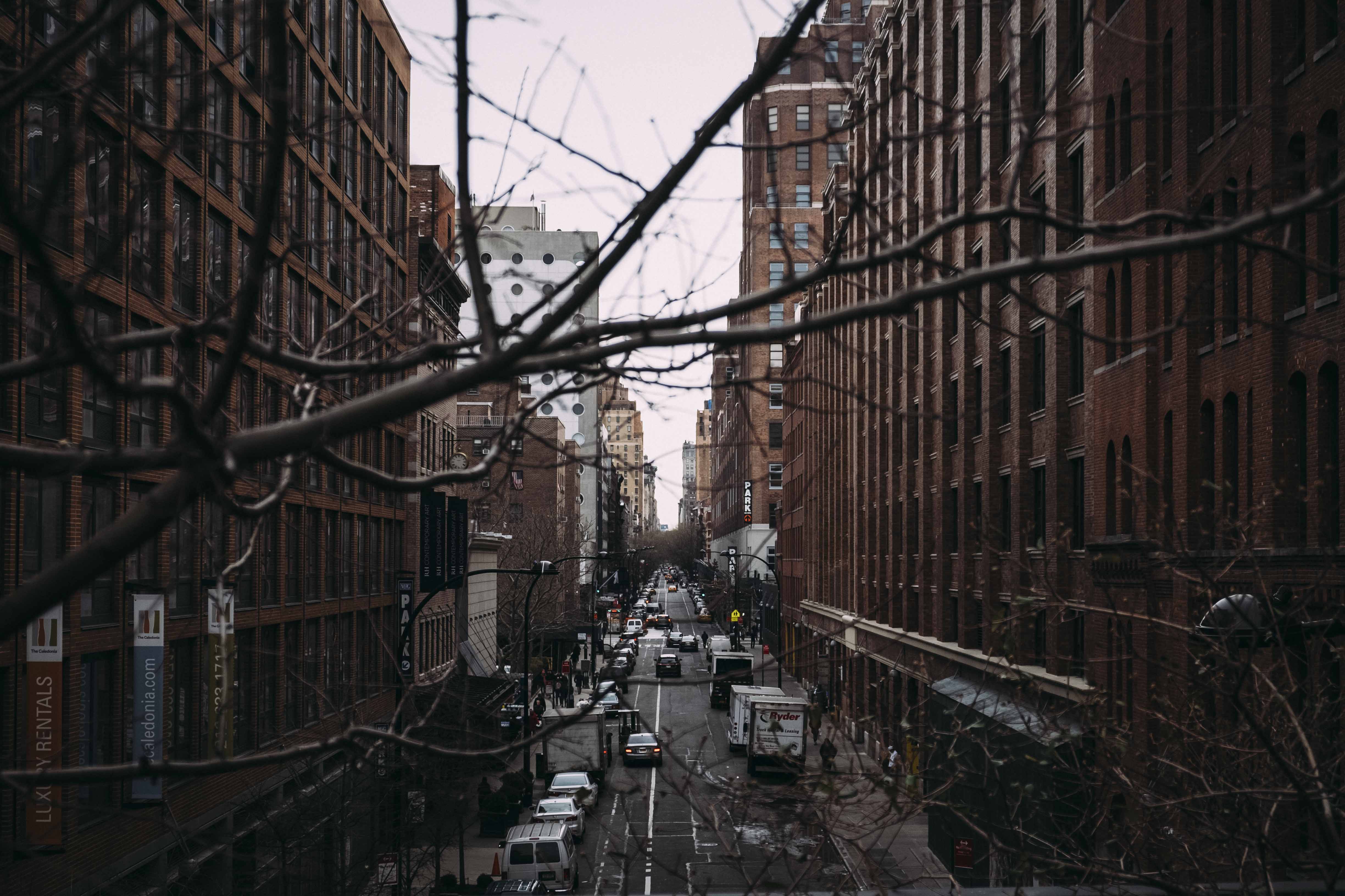 Nueva york y Washington-91